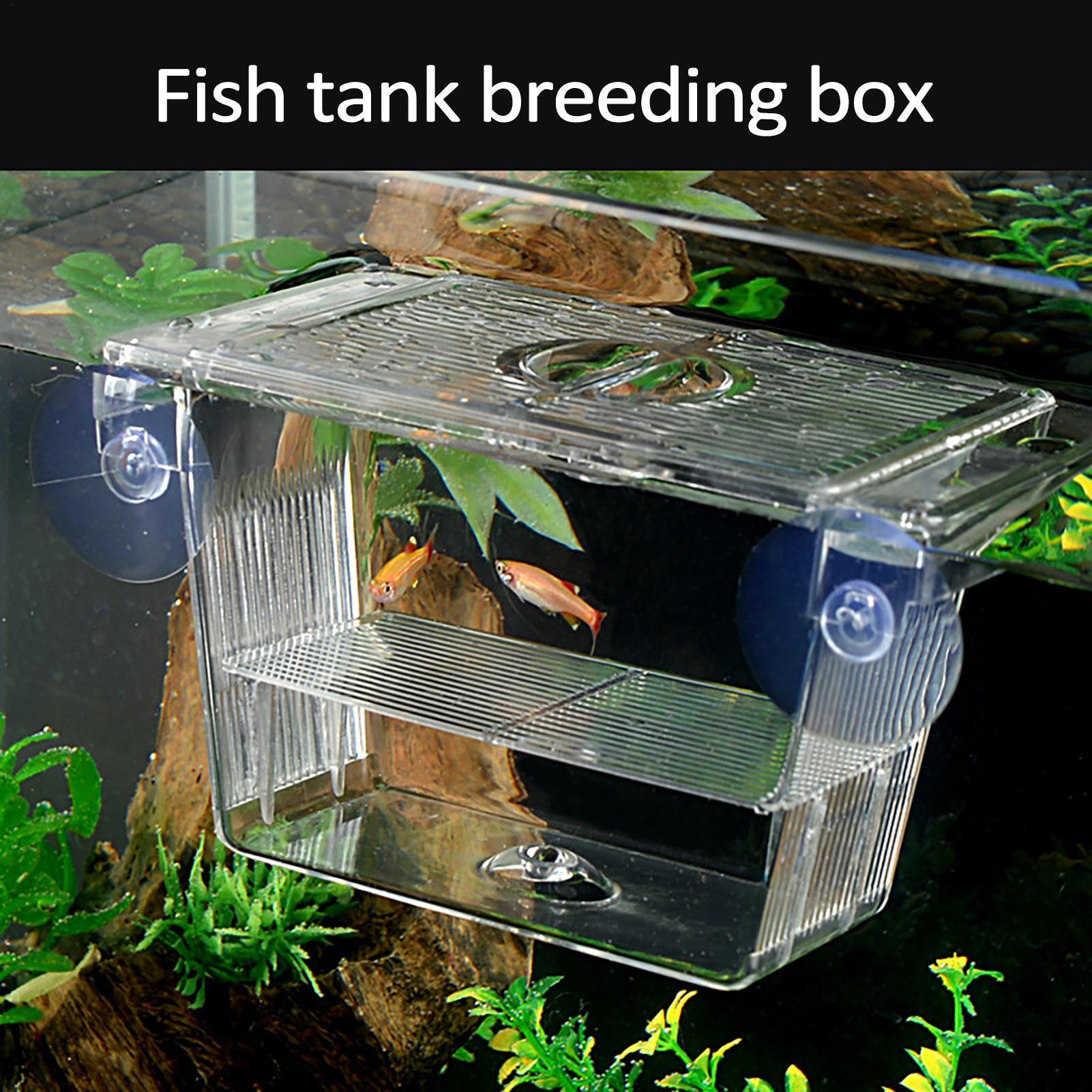 Lab Incubator - Breeder Box for Fish Tank Transparent