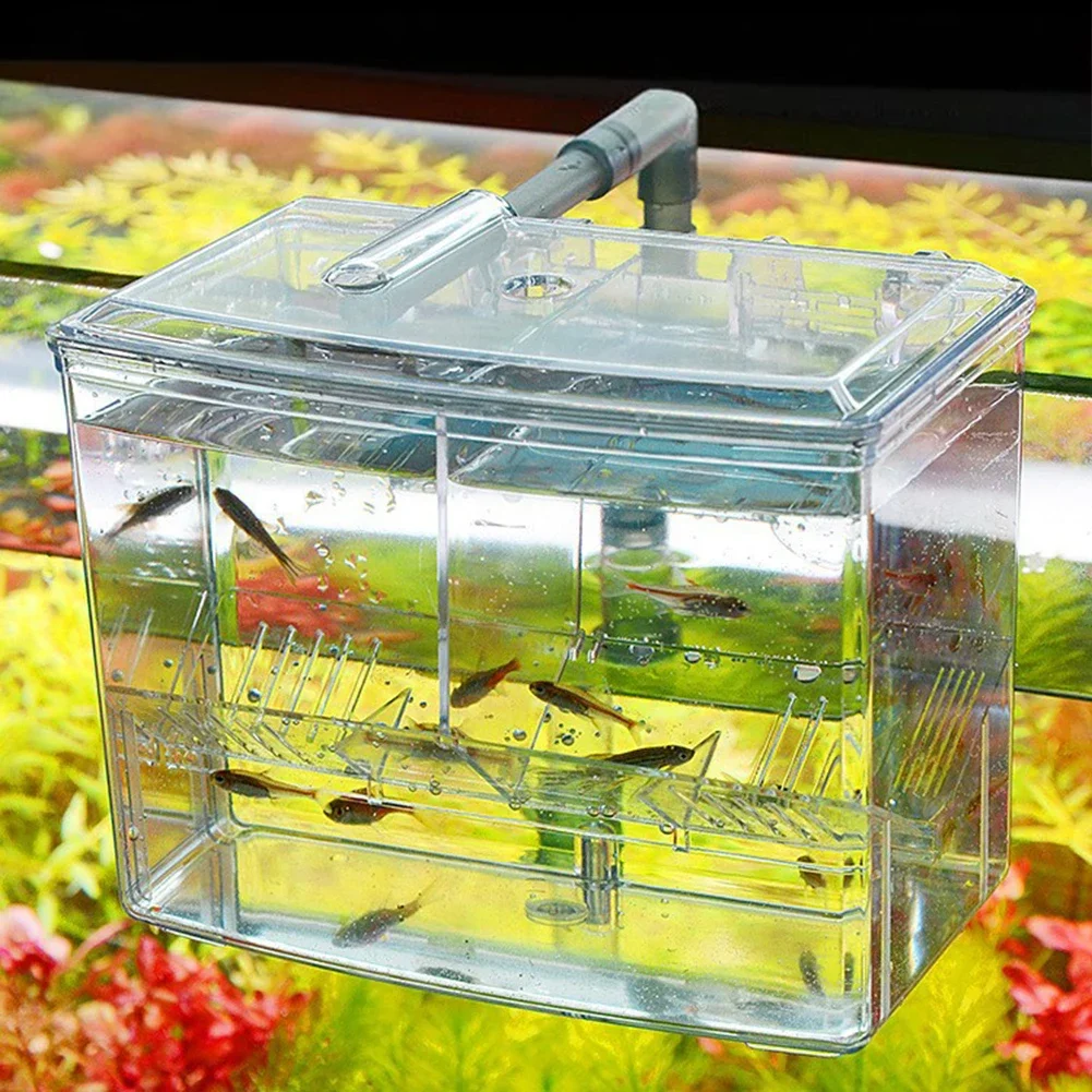 Aquarium Fish Breeding Box for - Lab Incubator のレビューと価格