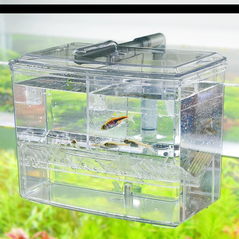 Aquarium Fish Breeding Box for - Lab Incubator のレビューと価格