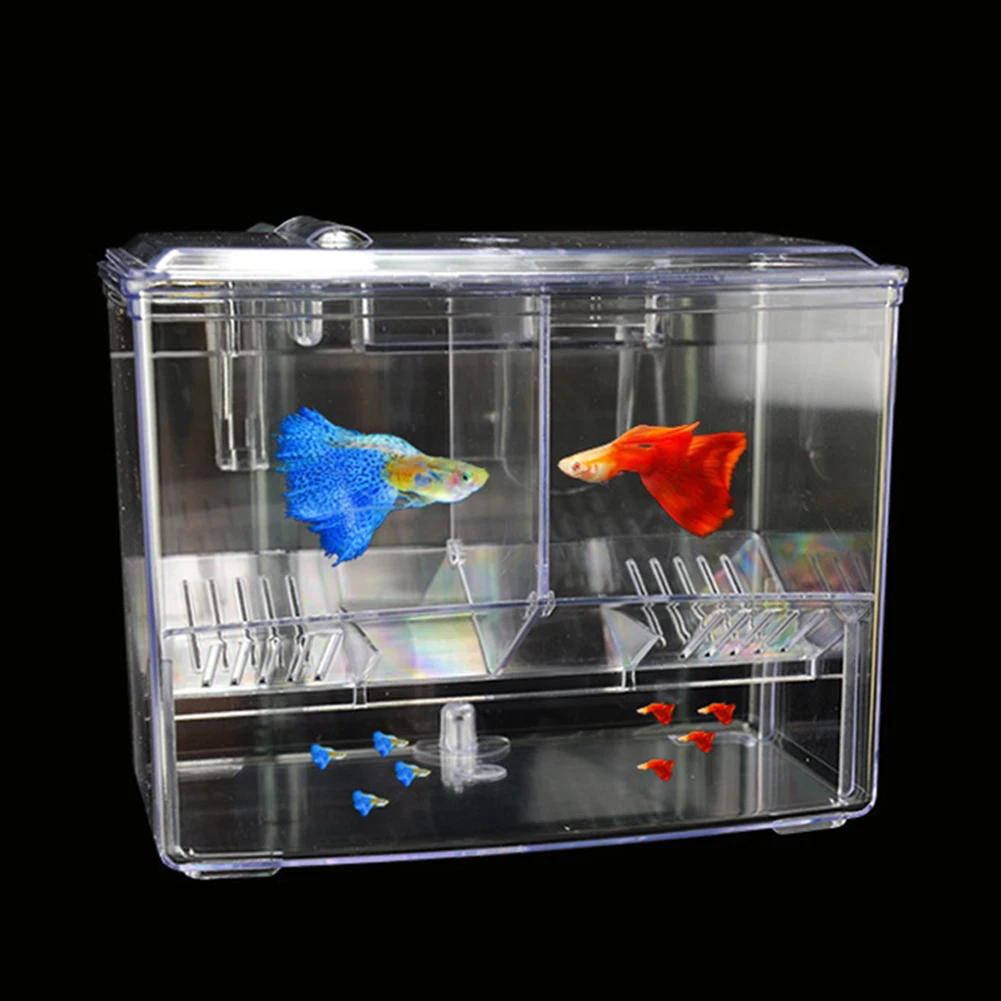 Aquarium Fish Breeding Box for - Lab Incubator のレビューと価格