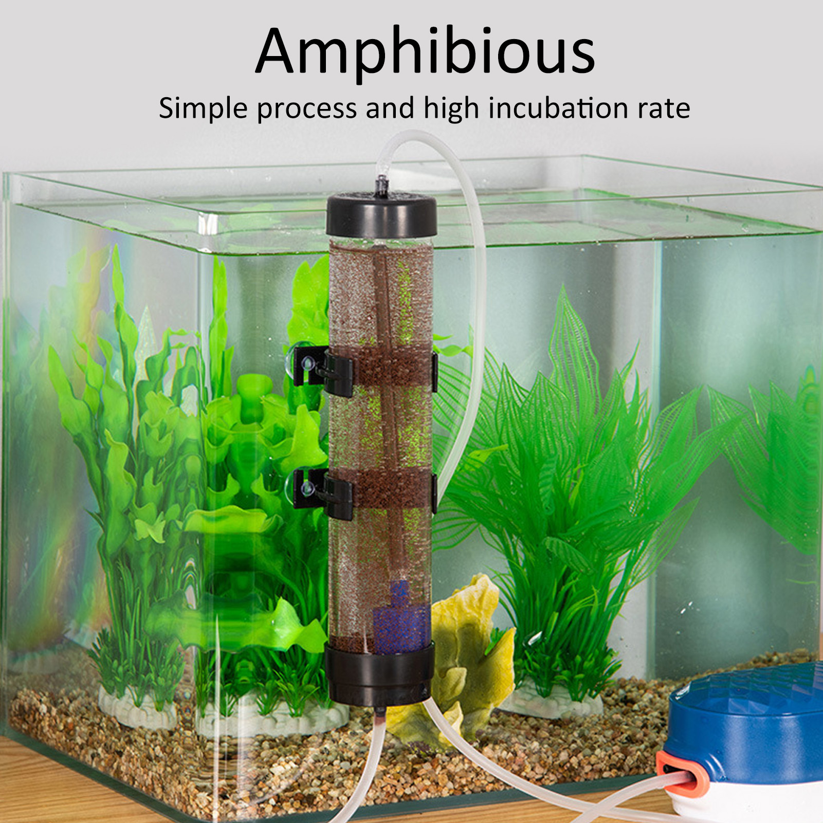 Fish  Hatch Tool Artemia Eggs  - Lab Incubator のレビューと価格