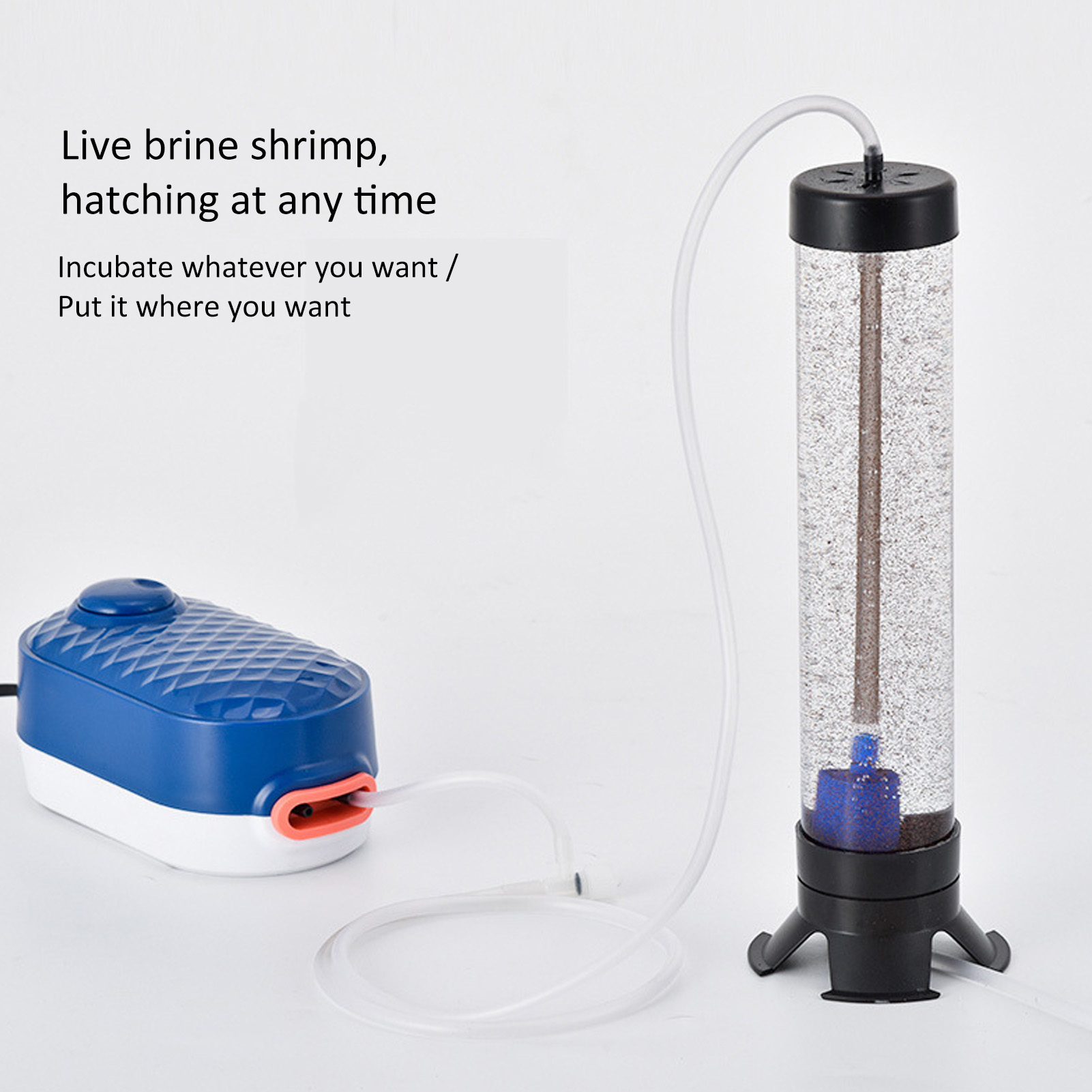 Fish  Hatch Tool Artemia Eggs  - Lab Incubator のレビューと価格