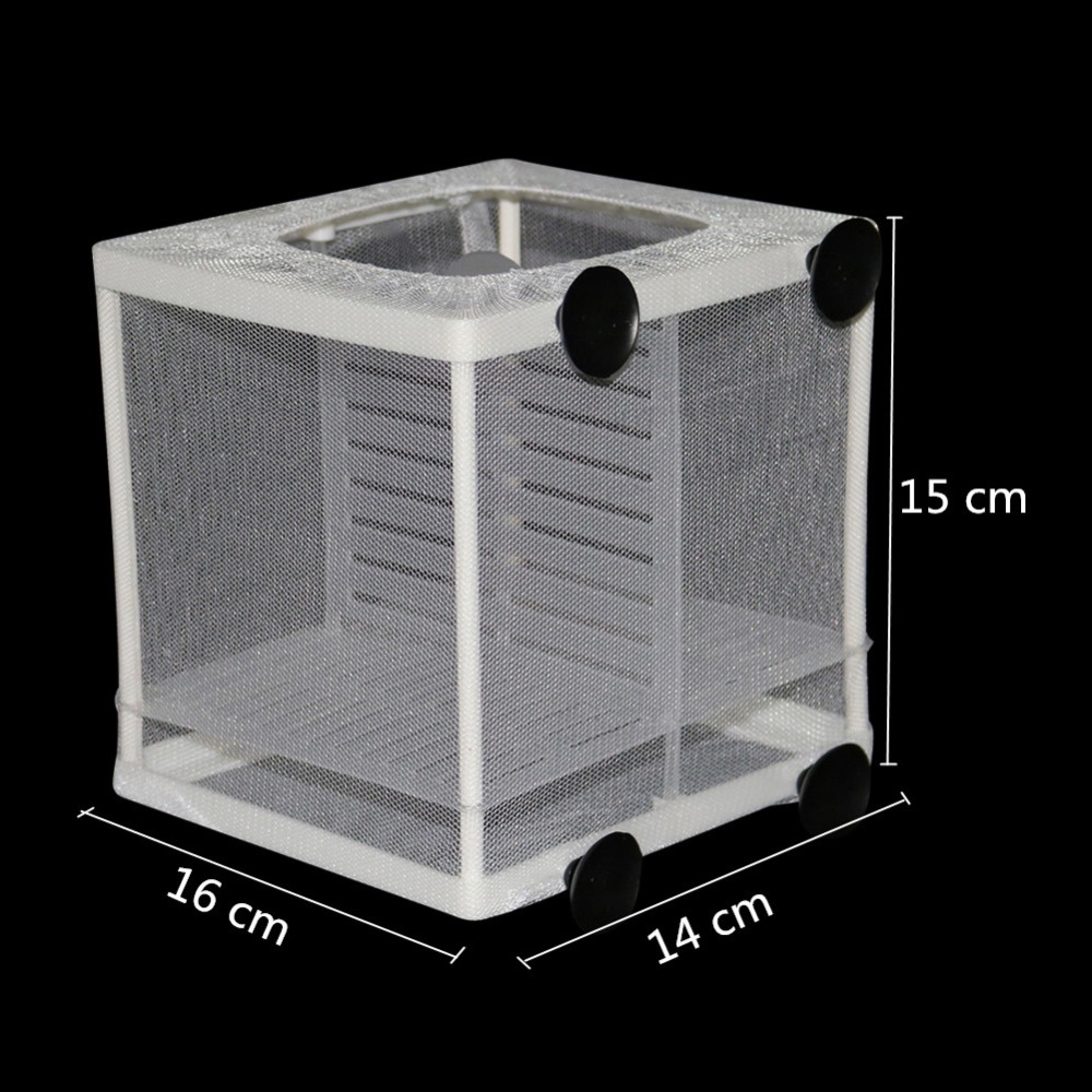 1 Pcs Fish Breeding Incubator  - Lab Incubator のレビューと価格