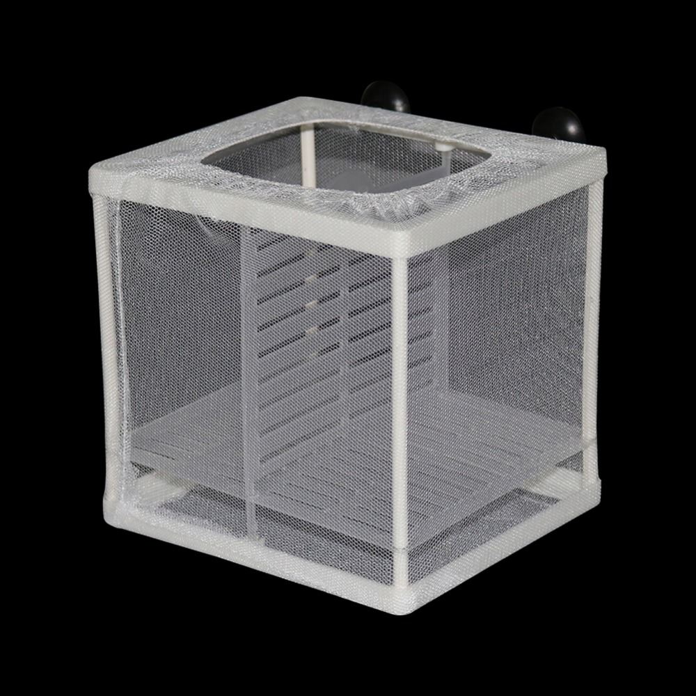 1 Pcs Fish Breeding Incubator  - Lab Incubator のレビューと価格