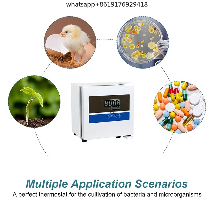 Laboratory 2L Mini Thermostat  - Lab Incubator のレビューと価格