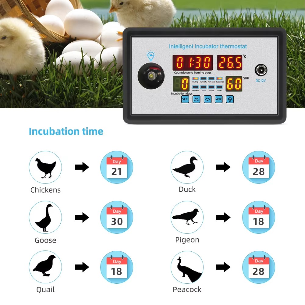 ZFX-W9002 12V/220V Egg Incubat - Lab Incubator のレビューと価格