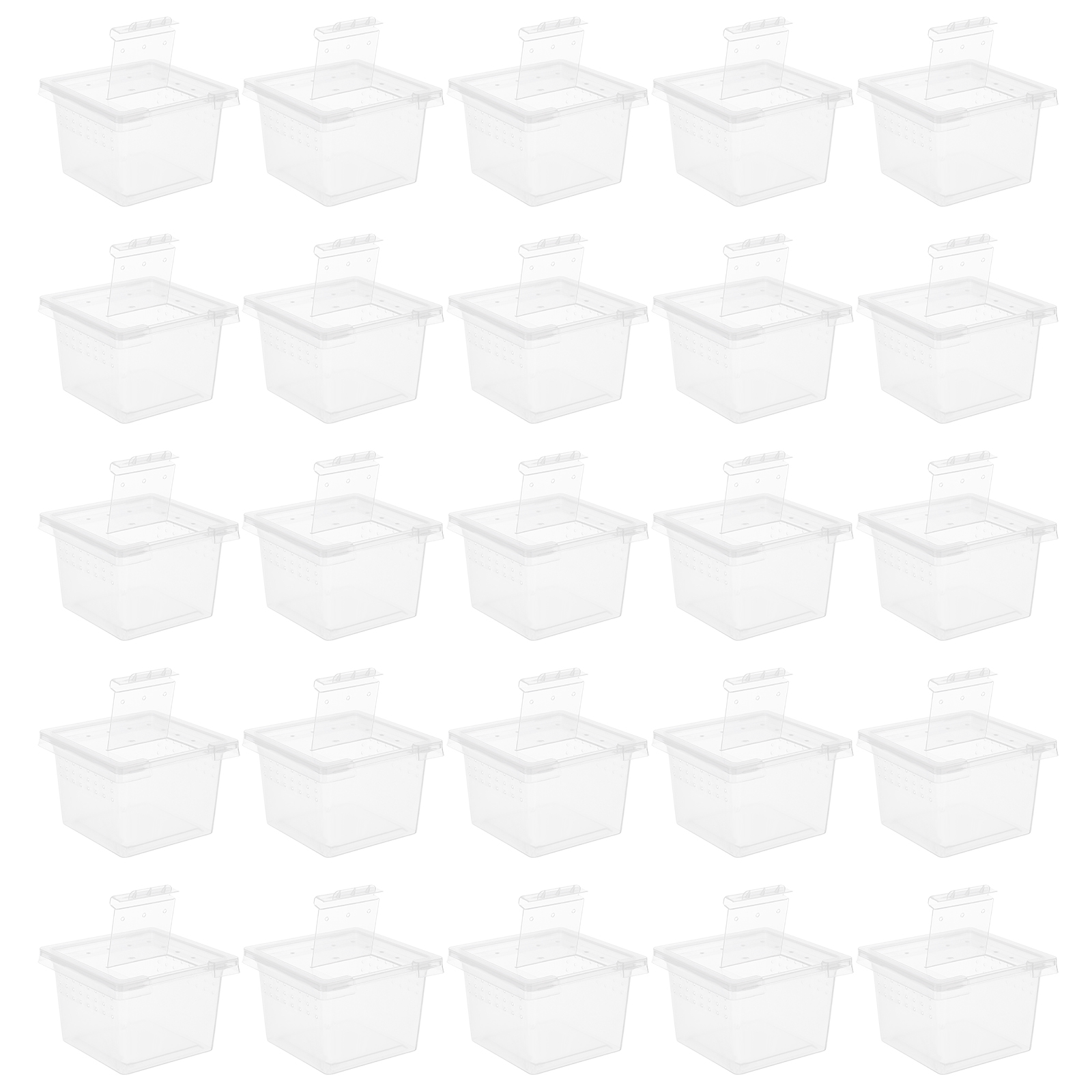 100 Pcs Pet Feeding Box Acryli - Lab Incubator のレビューと価格