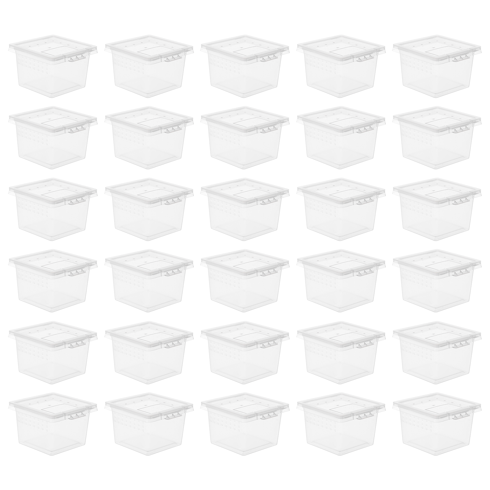 100 Pcs Pet Feeding Box Acryli - Lab Incubator のレビューと価格