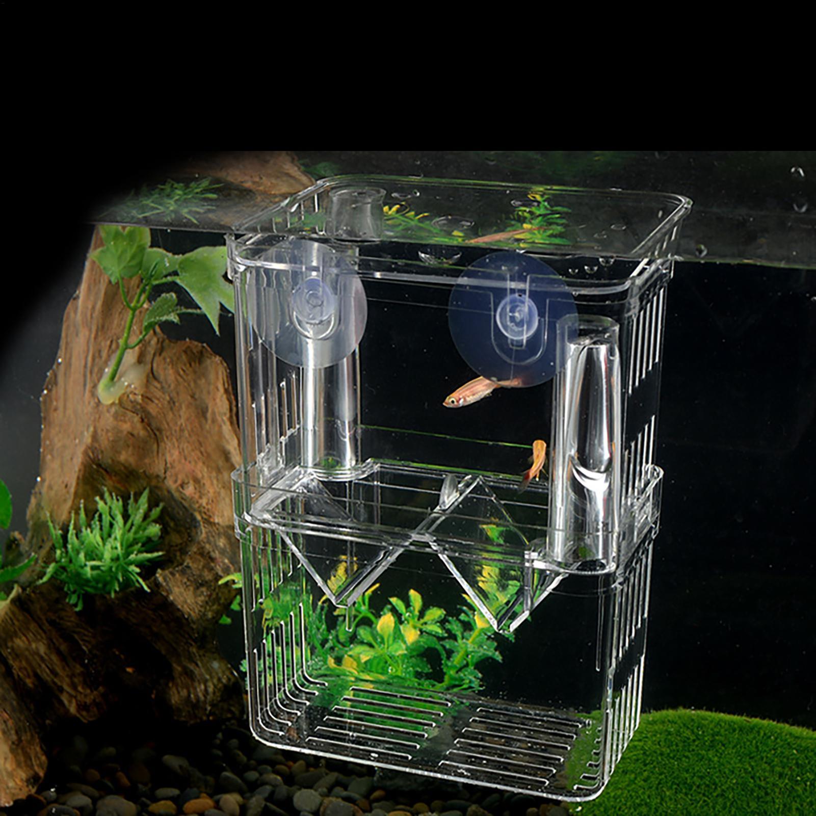 Breeder Box for Fish Tank Tran - Lab Incubator のレビューと価格