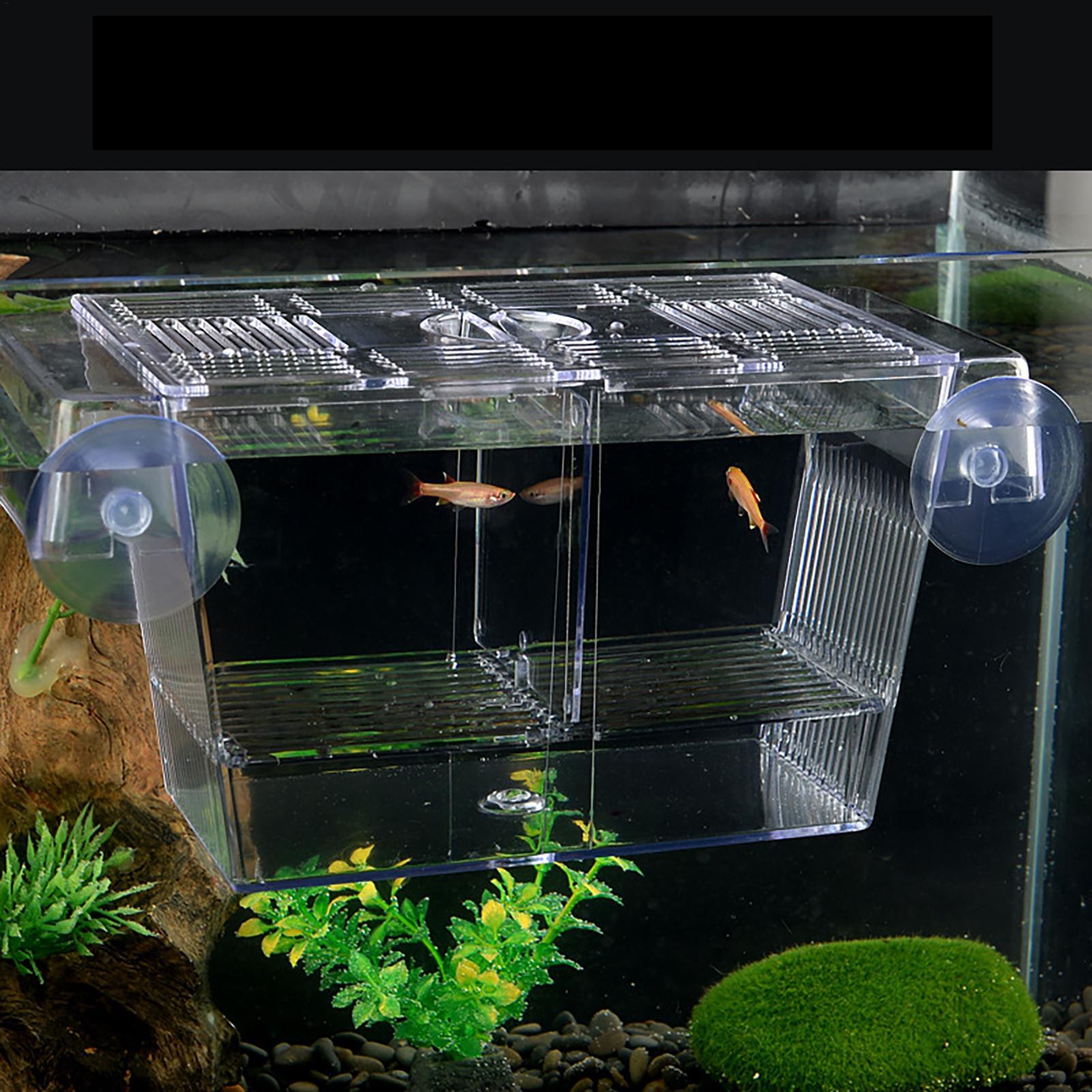 Breeder Box for Fish Tank Tran - Lab Incubator のレビューと価格