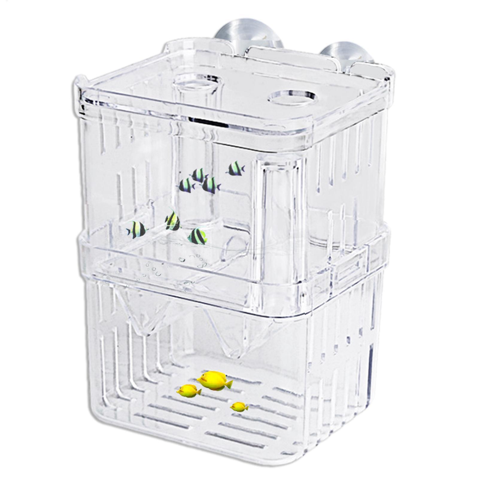 Breeder Box for Fish Tank Tran - Lab Incubator のレビューと価格
