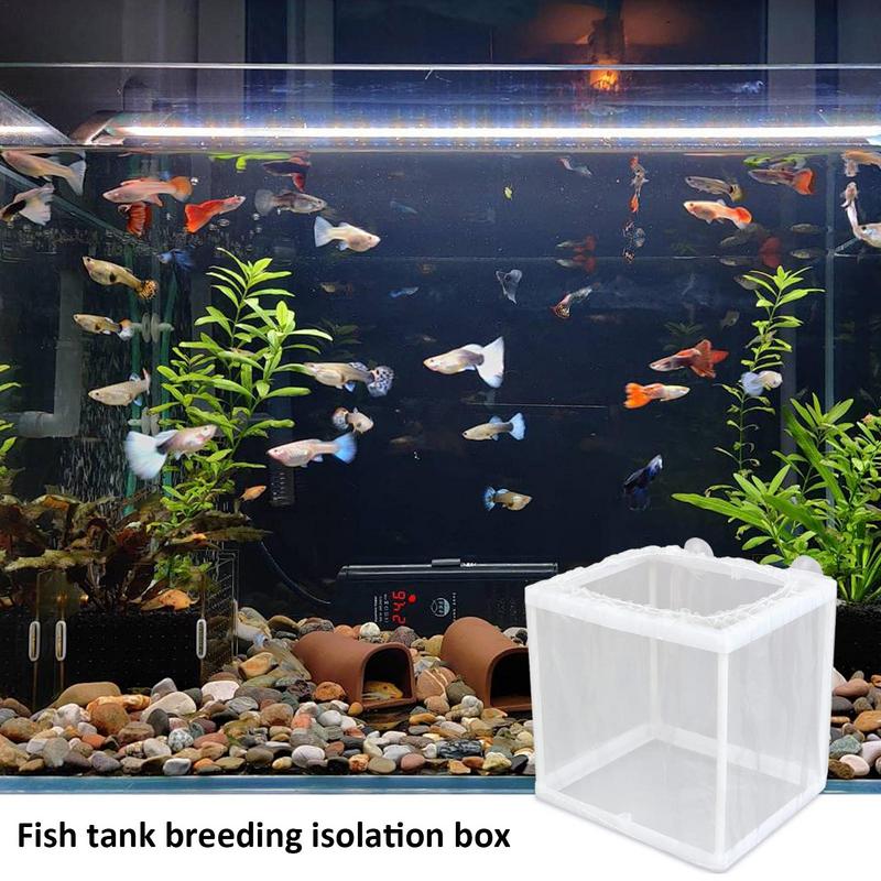 Fish Breeder Box with Suction, - Lab Incubator のレビューと価格